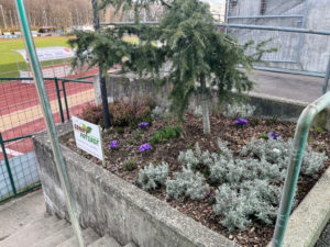 L'espace vert